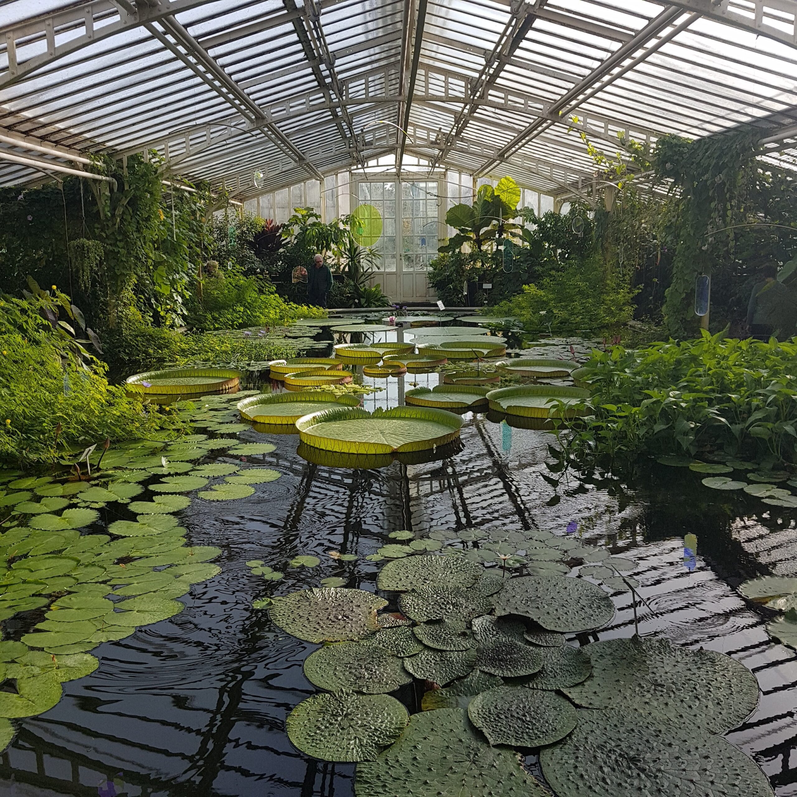 botanical gardens